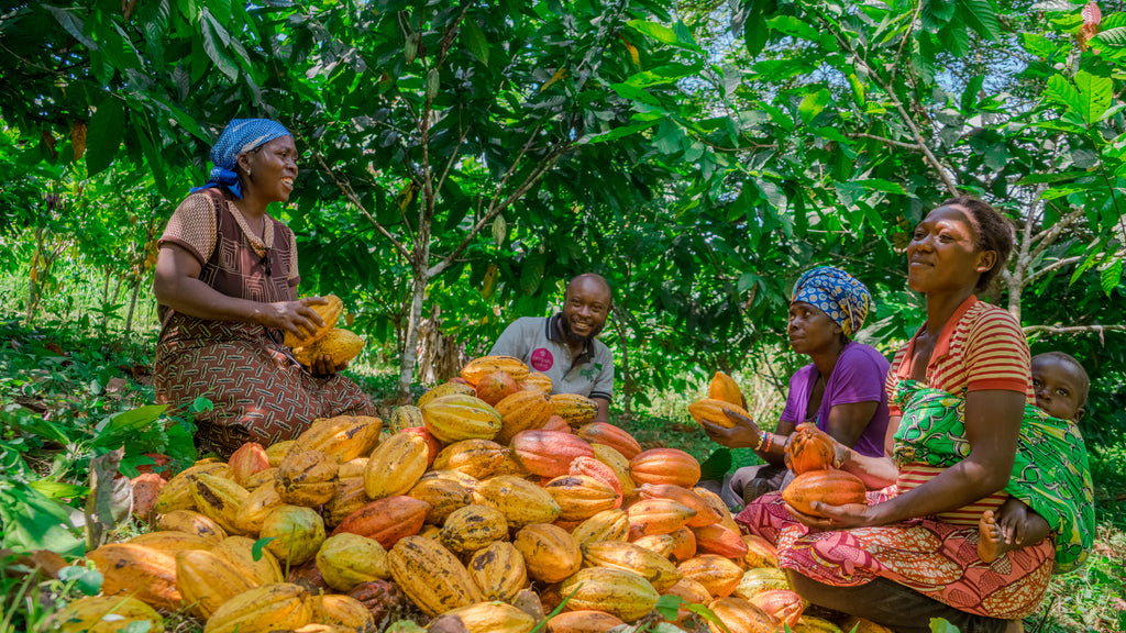 Femmes de Virunga 55% - 2kg