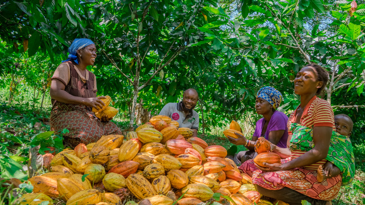 Femmes de Virunga 55% - 2kg