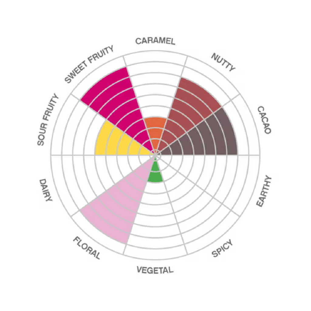 Esmeraldas Dark 65% - 2kg
