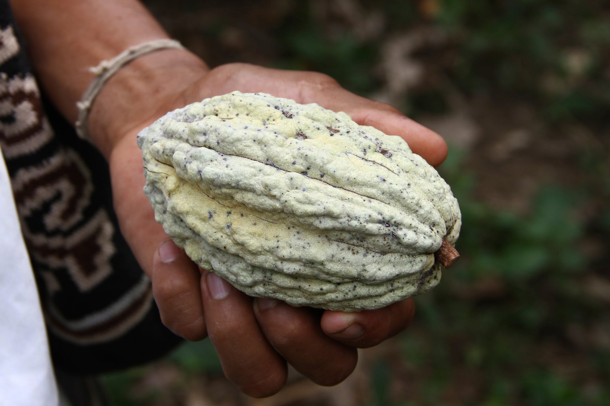 Arhuaco 82% - 2kg