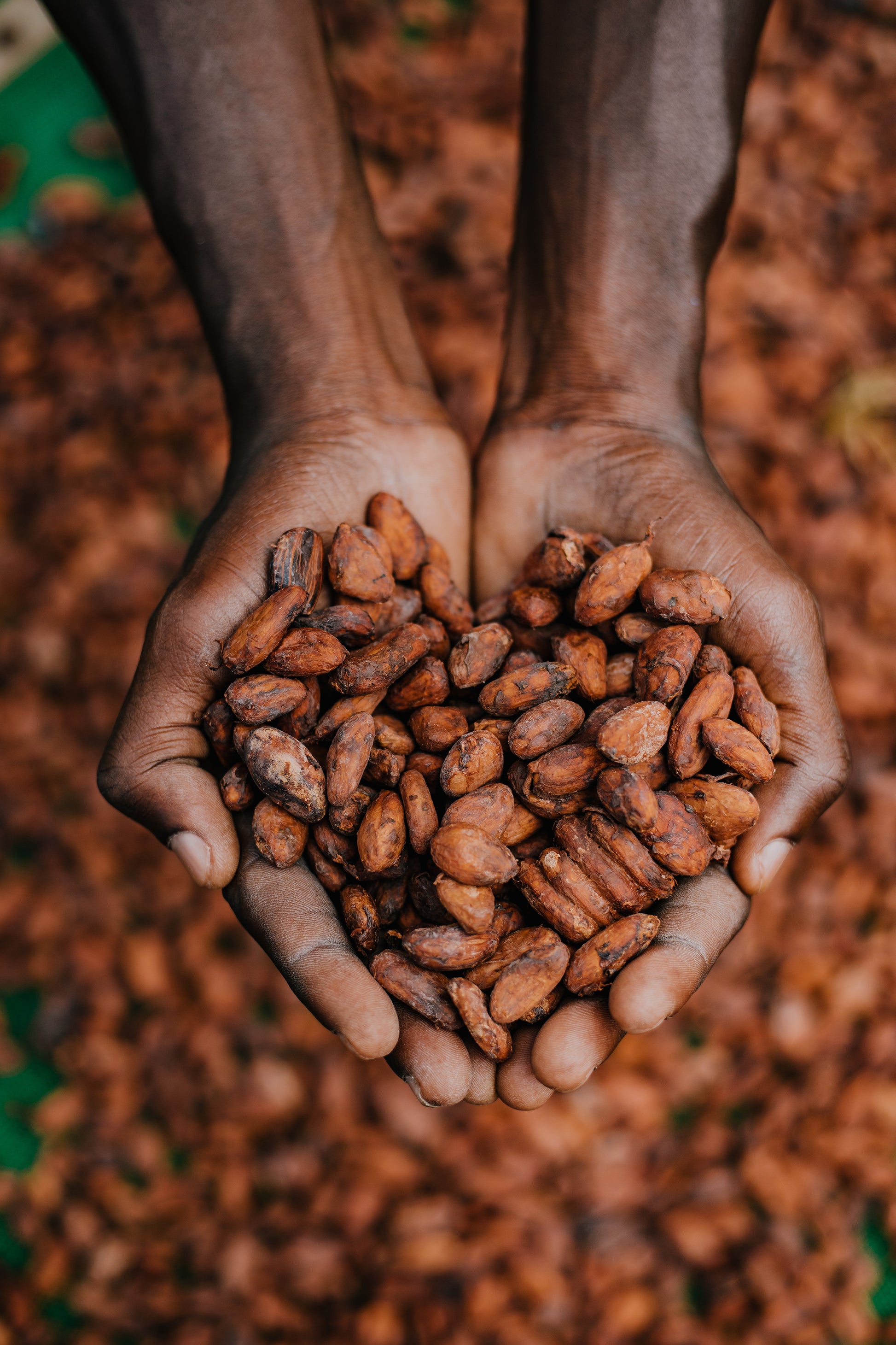 Udzungwa 70% - 2kg